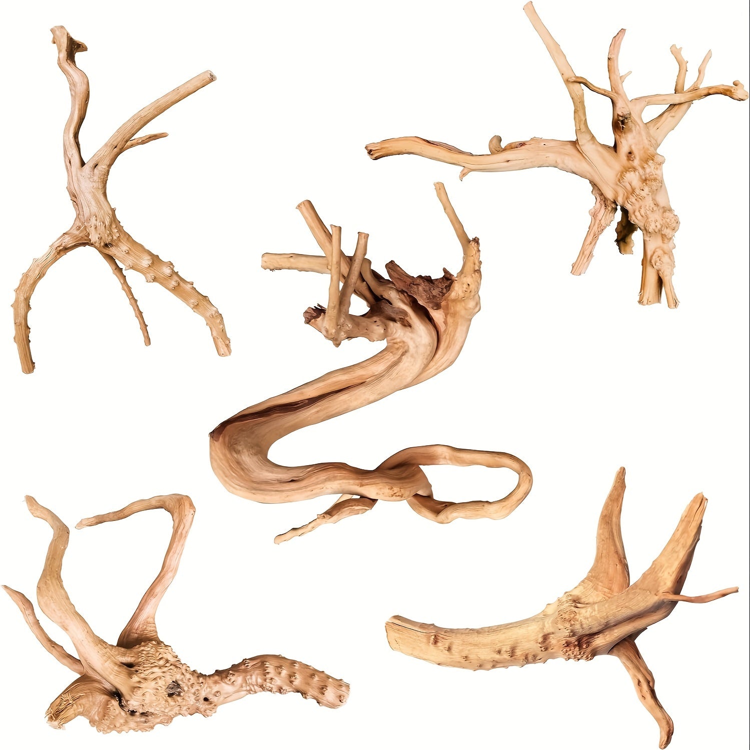 TEMU 5 Packs Natural Driftwood For Aquarium Reptile , Wood Assorted Branches Aquarium Decoration