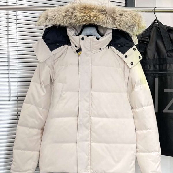 Mens Jacket Puffer Jacket Parka Mens Designer Jackets Vests Men Women Winter Jacket Down Mens Designer Coat Outerwear Size XS-2Xl 36