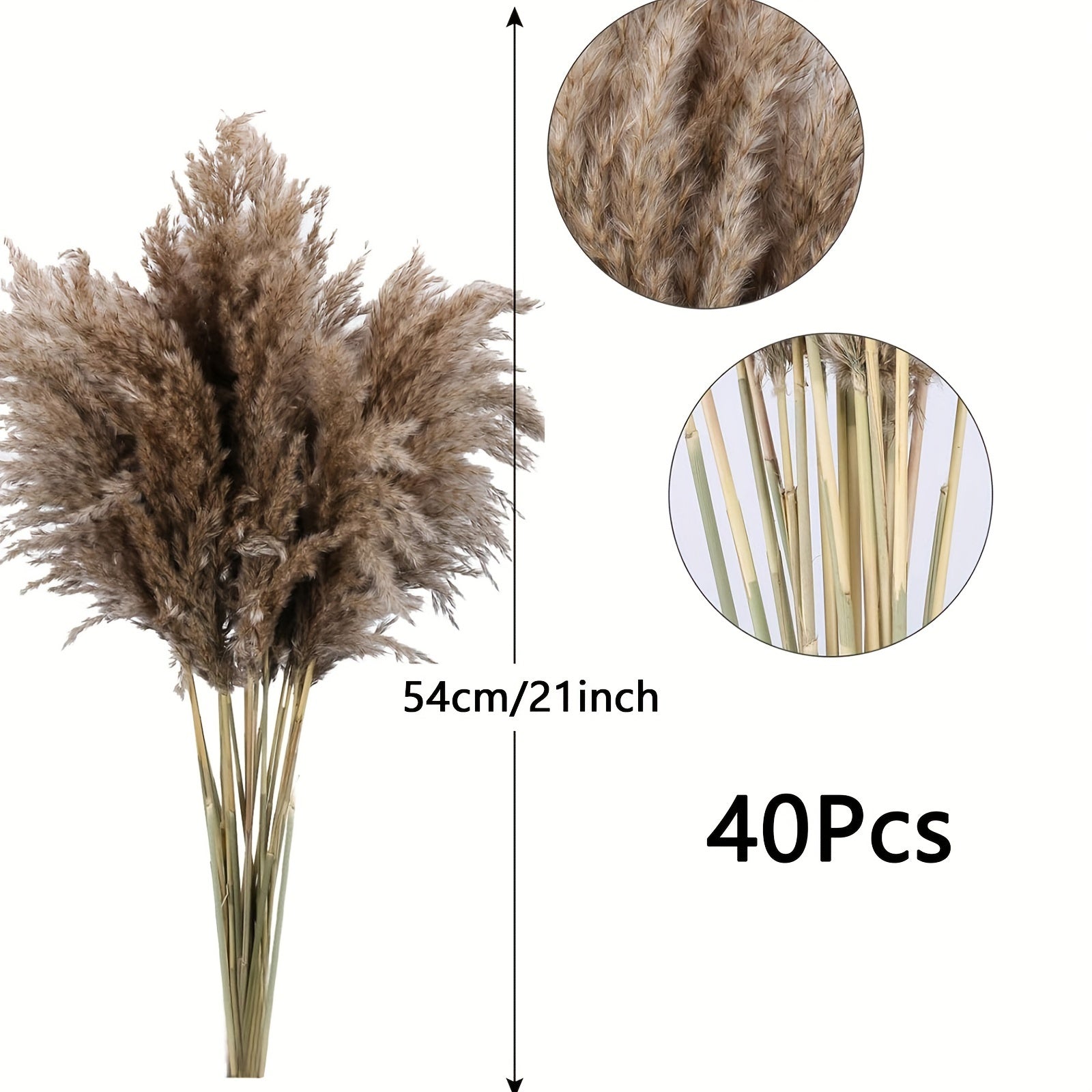 TEMU 40pcs Chic 21" Dried Pampas Grass Bundle - Hypoallergenic, Easy-to-care For Fluffy Reed Flowers Wedding, Vase Decorations | Ideal For Bohemian