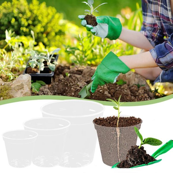 Clear Round Nursery Planter Pot Container Starter Pots -- Perfect for Orchid Growing and Display