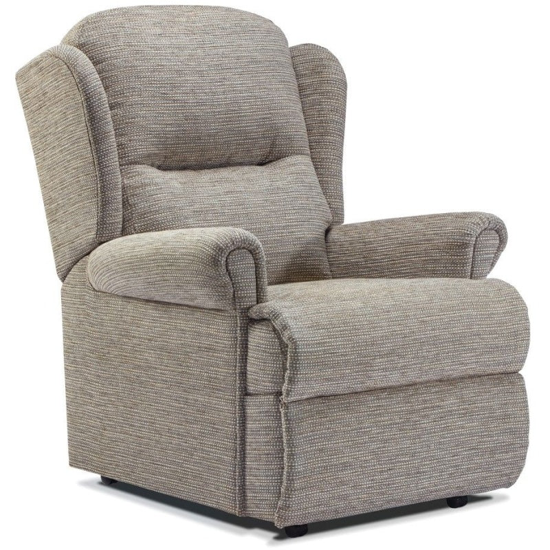 Sherborne Nevada Chair - Small - Leather - Grade 1