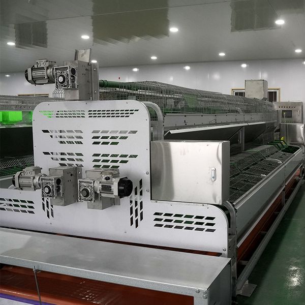 Consulting price Pet Supplies Rabbit hutch 24 position rabbit cages with Automatic winch feeder Used for rabbit growth and breeding Support