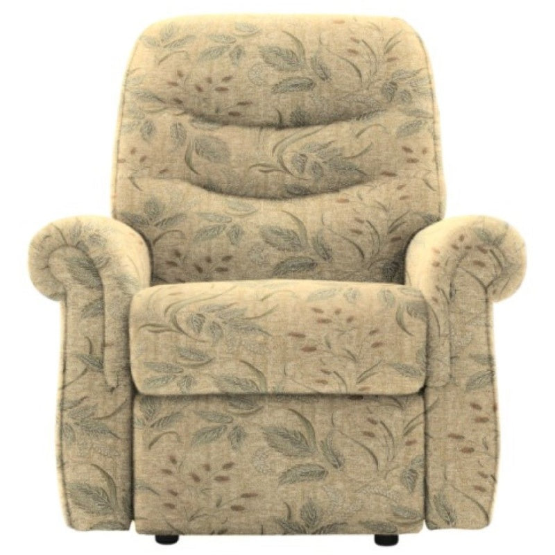 G Plan Holmes Chair - Small - Leather Grade L