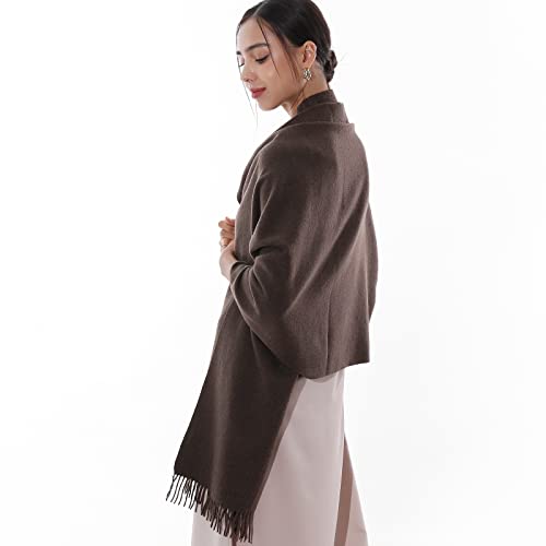 RIIQIICHY Winter Scarfs for Women Pashmina Shawls Wraps for Evening Dresses Large Warm Soft Scarves Coffee