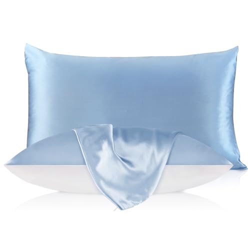 LILYSILK 100% Pure Mulberry Silk Pillowcase for Hair and Skin 19 Momme, Cotton Underside, Soft Pillow case Cover with Hidden Zipper 1Pc, Light Blue, Q