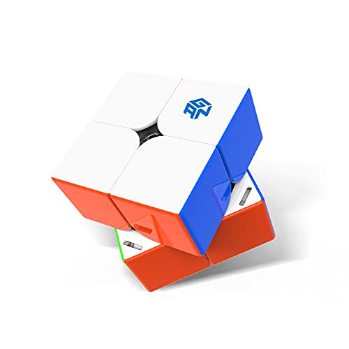 GAN 251 M Pro, 2x2 Magnetic Speed Cube Stickerless Gans 251 Mini Cube Puzzle Toy for Beginner(Frosted Surface Primary Internal)