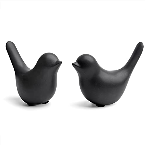 Notakia Small Birds Statues Home Decor Modern Style Birds Decorative Ornaments for Living Room, Bedroom, Office Desktop, Cabinets(Black Bird 2Pcs)