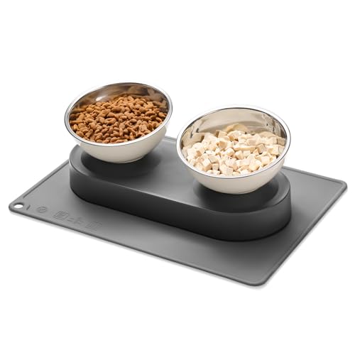 Marchul Stainless Steel Elevated Cat Bowls Set with Anti-Slip Mat, Dual Raised Dish for Healthy Digestion, 1-Second Detachable & Dishwasher Safe