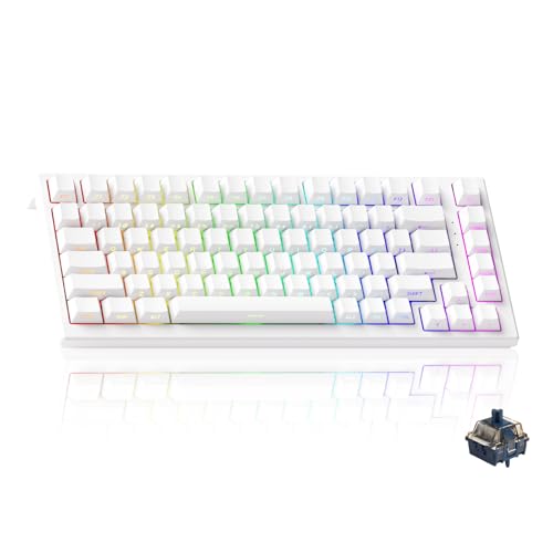 Akko TAC75 Rapid Trigger Gaming-Tastatur, 75% Hall-Effekt-Tastatur mit Magnetschalter, Einstellbarer Ansprechzeit, E-Sport, ARGB, PBT-Tastenkappen (We
