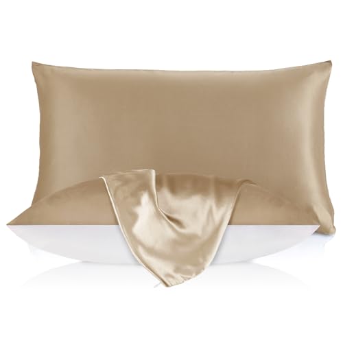 LILYSILK 100% Pure Mulberry Silk Pillowcase for Hair and Skin 19 Momme, Cotton Underside, Soft Pillow case Cover with Hidden Zipper 1Pc,Taupe, Standar