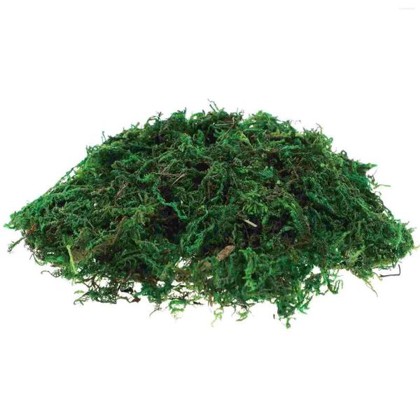 wers Moss Decorative For Bonsai Crafts Dried House Plants False Fake Centerpieces Terrarium Decor Potted Artificial Fy8720 0518