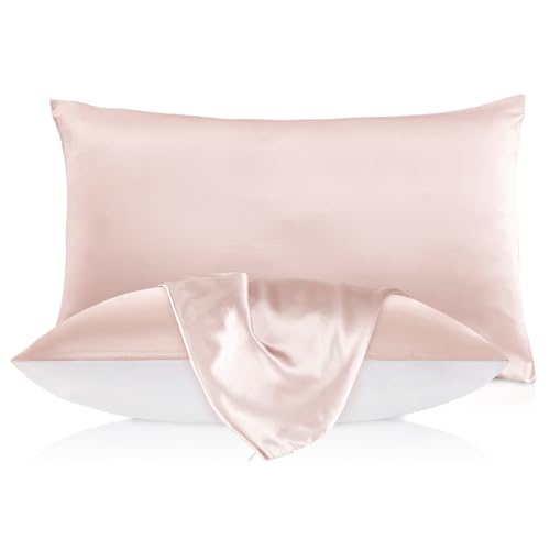 LILYSILK 19mm Silk Pillowcase with Cotton Underside for Hair and Skin 1pc Standard 20x30 Inch Pale Pink Standard 20''x30'' Pale Pink