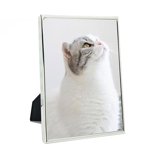 DECANIT 6x8 Picture Frame Metal, Thin Profile Photo Frame 6 by 8 Inch, Display for Wall or Tabletop,Silver Silver 6x8