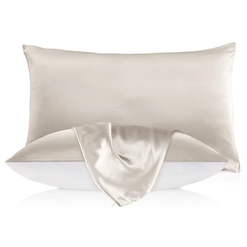 LILYSILK Natural Silk Pillowcase with Cotton Underside for Hair and Skin 1pc Queen 20x33 Inch Moonlight Gray Queen 20''x33'' Moonlight Gray
