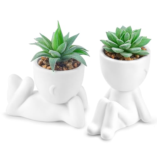 Der Rose Set of 2 Fake Plants Artificial Succulent Plants for Office Desk Accessories Bathroom Home Room Aesthetic Decor Indoor White