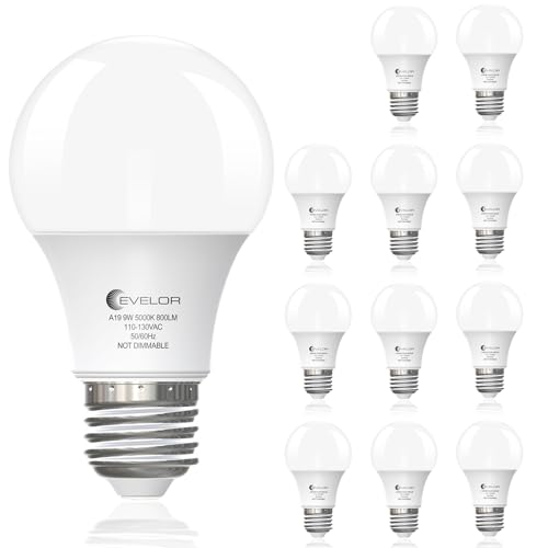 A19 LED Light Bulbs,60 Watt Equivalent Daylight 5000K with E26 Base,Efficient 9W,800 Lumens Non-Dimmable LED Bulbs,15000 Hours, Ideal for Bedroom Livi