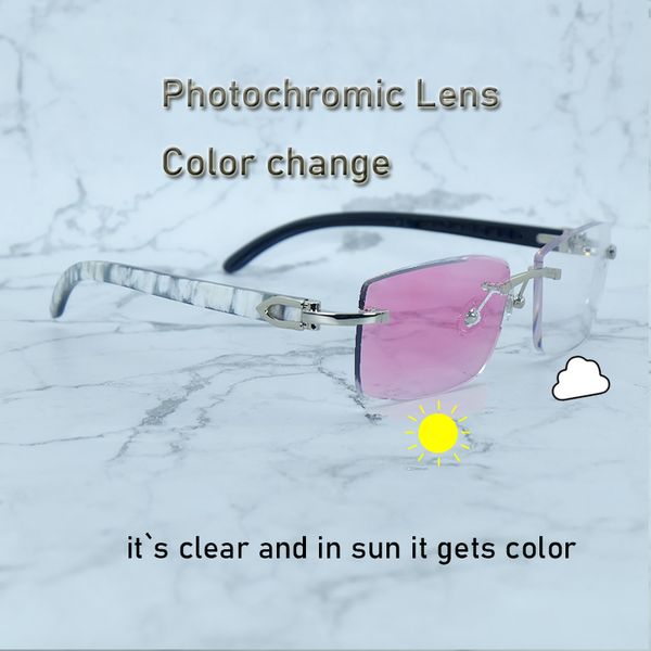 Photochromic Sunglasses Color Changed Two Colors Lenses 4 Season Glasses Interchangble Men Shades Marble Buffs Horn Shades Eyewear 012 Recta