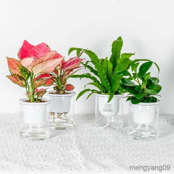 Planters Pots Pot Bunga Hidroponik Transparan Pot Tanaman Penyerapan Air Otomatis Kantor Rumah Pot Bunga Malas Sederhana R230807