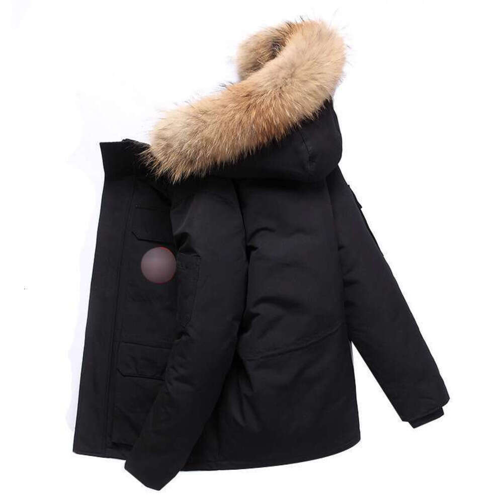Canada Jacket Goossecoats jacket white duck canada coat Down Coats Windbreaker Puffer Parka Zipper Jacket Canada Jacket Zipper Winter Outerwear Cana