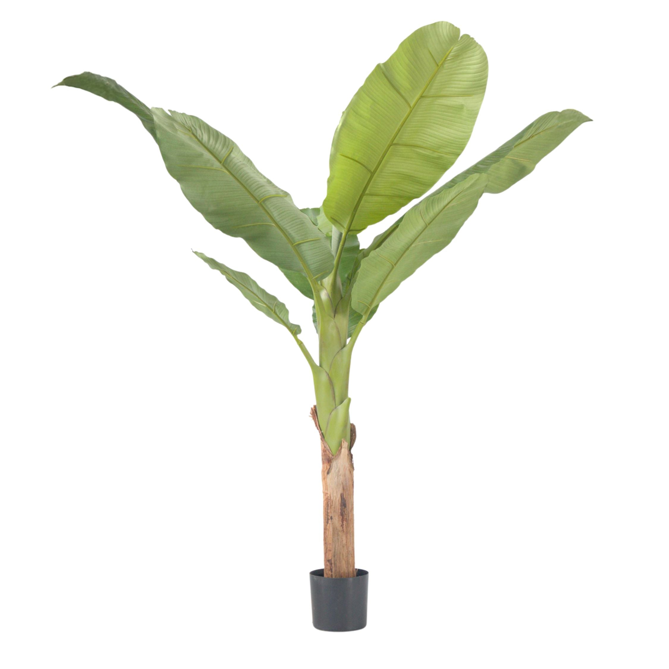 Plantă de bananier Musa artificială - Înălțime 150cm