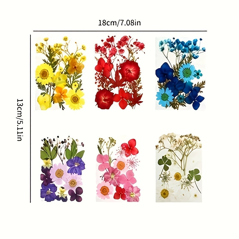 TEMU 144 Premium Pressed Dried Flowers Set - Bright For Scrapbooking, Diy Crafts, Epoxy Jewelry, Candle Making And Home Decoration Dried Flowers