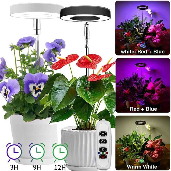 Full Spectrum LED Grow Lights for Indoor Plants Height Adjustable Dimmable Growing Lamp Flower Halo Ring Phyto Lamp Growth Light Y240816