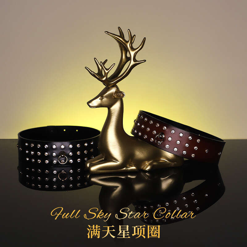 High end SM props, full diamond genuine leather fun collar, female slave training, traction neck cover, alternative choker, adult product