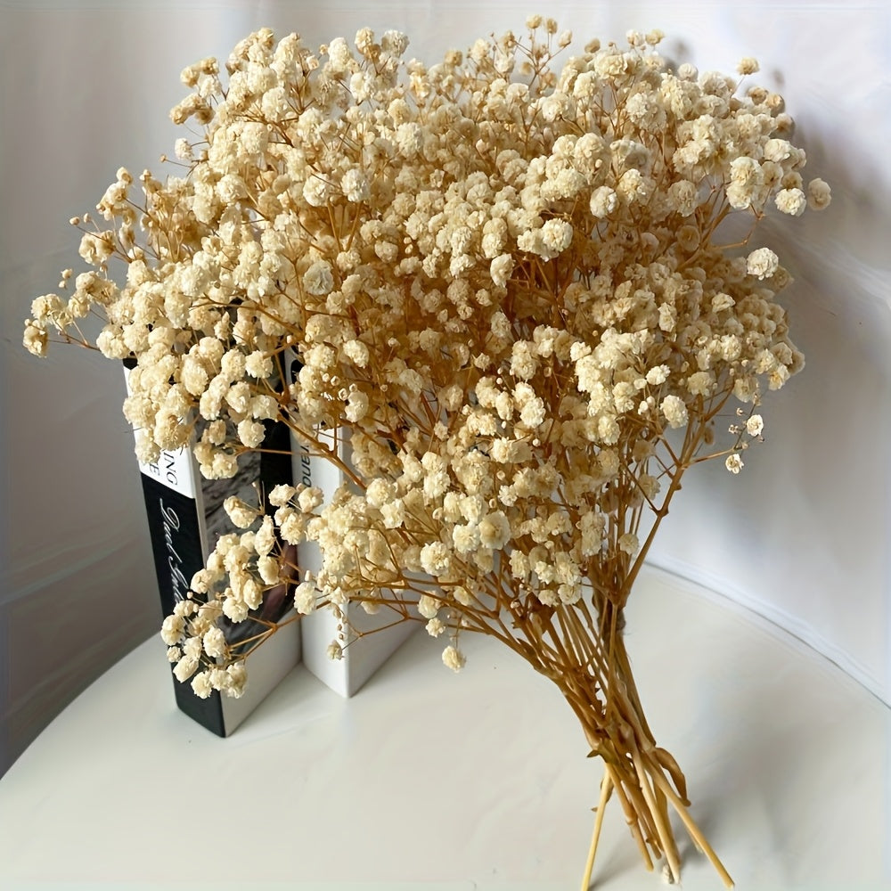TEMU 2000+ Dried Babys Breath Flowers Bulk - 17" Dried Flower Bouquet, Natural Preserved Gypsophila Branches For Vase Filler, Wedding Decor, Table