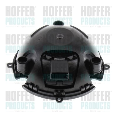 Control Element, exterior mirror HOFFER H38518