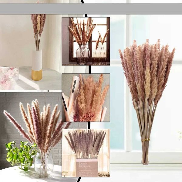 50-100 pieces of Pampas scarecrow made flowers dried flower vases bouquets lotus decorations branches Y250114
