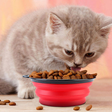 PetLuv™ 4-Piece Silicone Collapsible Pet Bowls