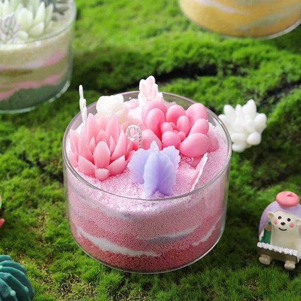Aromatherapy candles juicy plant cactus candles handmade indoor flameless wax gifts fruit scented candles X241004