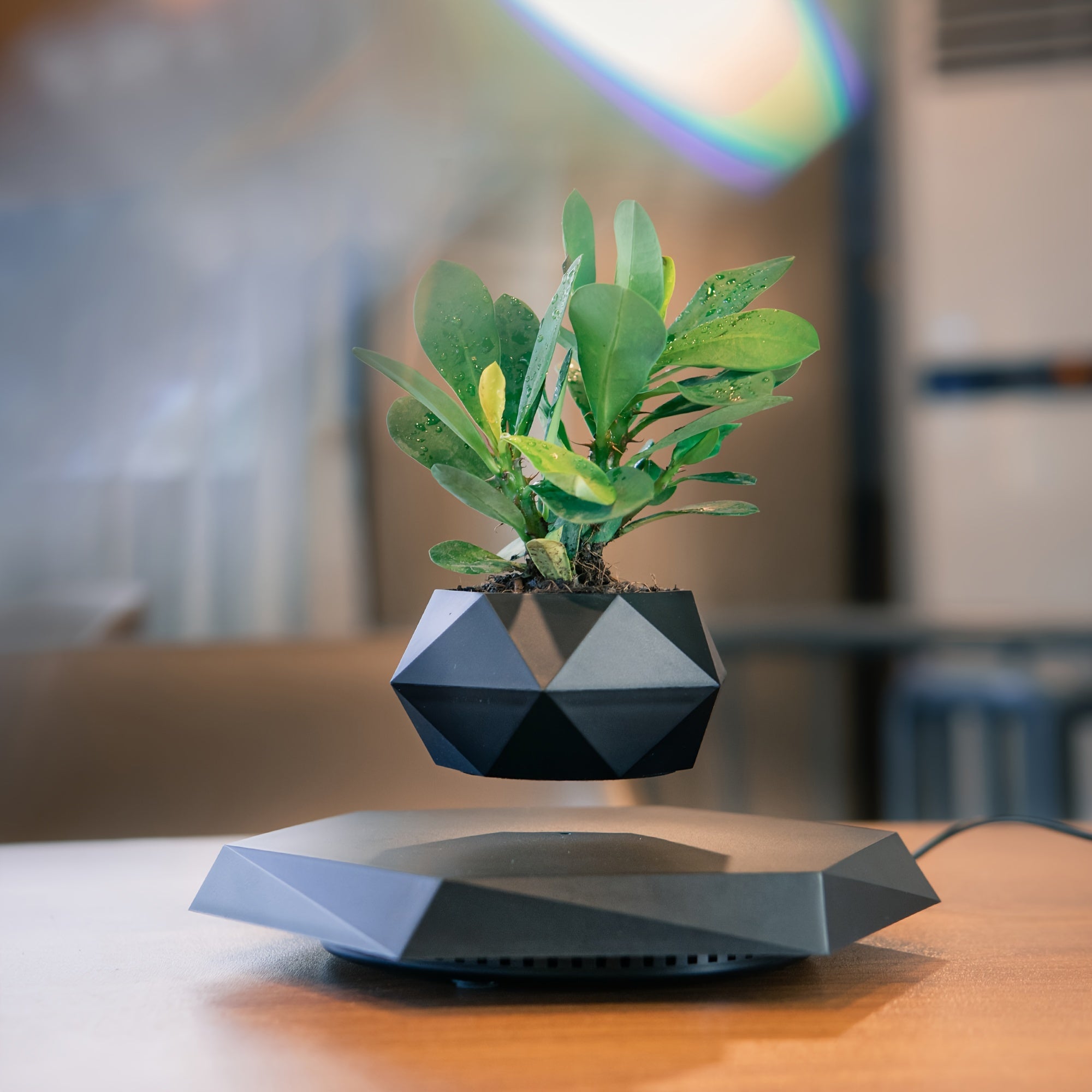 TEMU Rotating , New Floating , Desktop , Statue