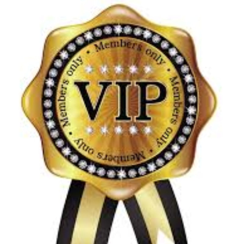 VIP only payment link 10A More style handbag shoes belt consultation and purchase2