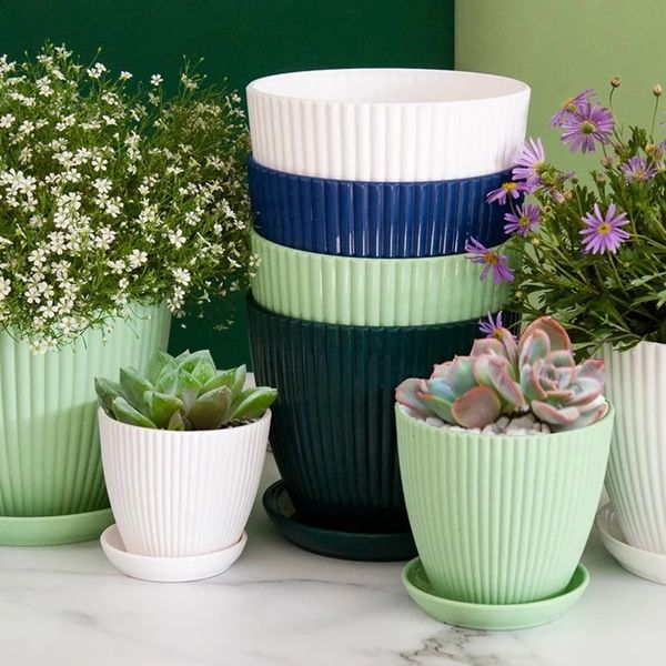 Garden plant pots tray plants flowers green vases multicolor flower seeds nurseries outdoor indoor decoration 240823
