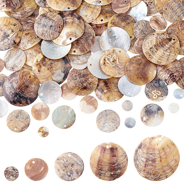 100 Stück 5 Stile natürliche Akoya-Muschel-Charme