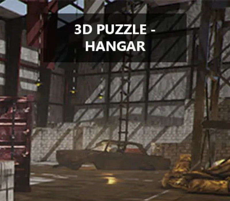 3D PUZZLE - Hangar PC Steam CD Key