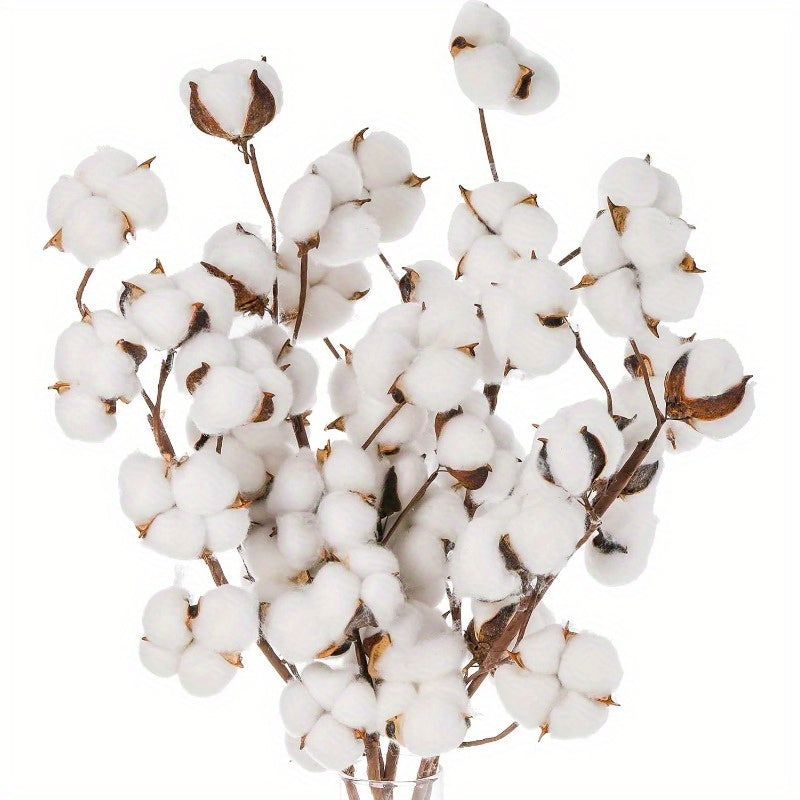 TEMU 3 Pack Stems, 30pcs Flower Bolls, 20 Inch Branch, Natural Floral Plant Stick For Farmhouse Decor, Vase Fillers