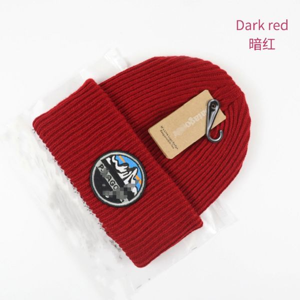 Factory spot cross-border direct power suppliers new foreign trade hats wholesale knitted hats for men and women with wool hats cold hats.