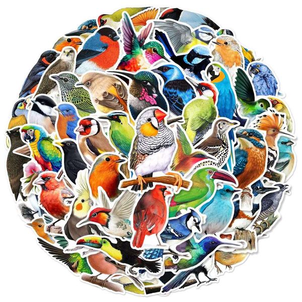 50 mixed color bird graffiti laptopswater bottlesphone caseswaterproof PVC stickers for laptops