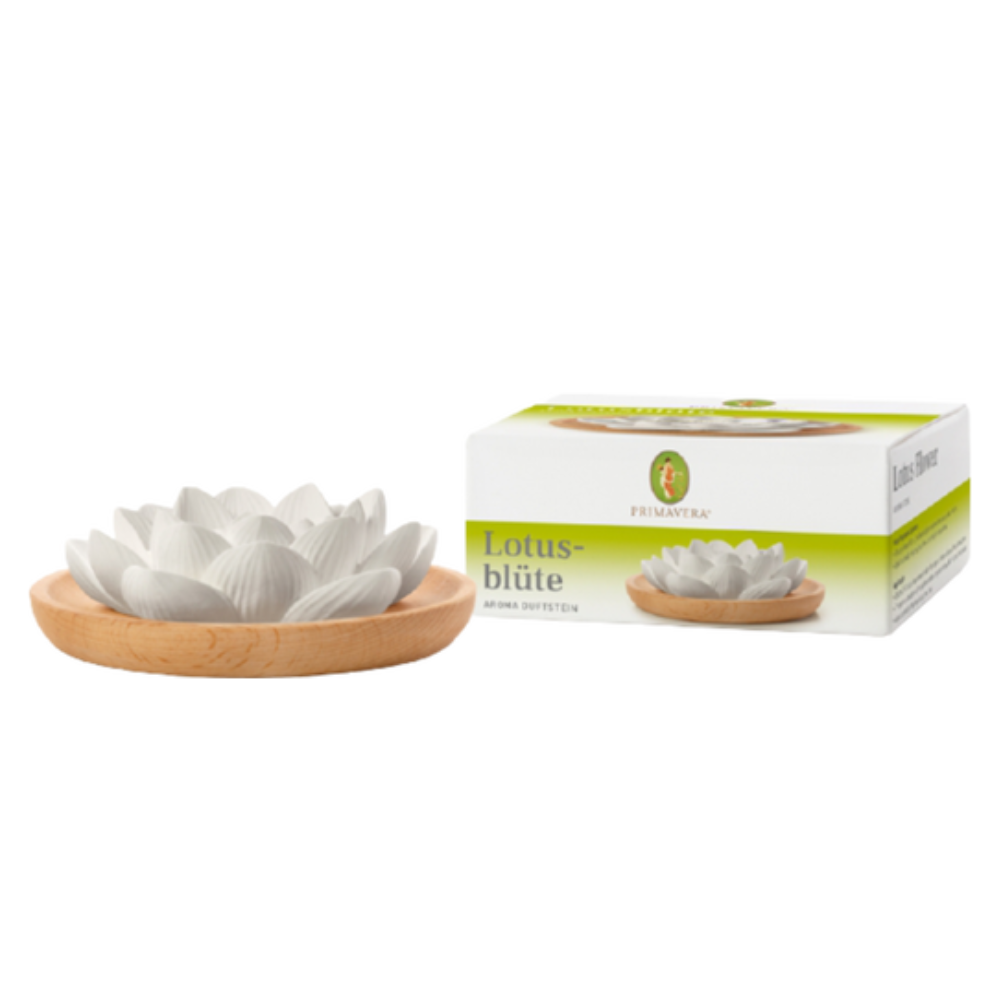 Primavera Sten Aromatica - Lotusblomma