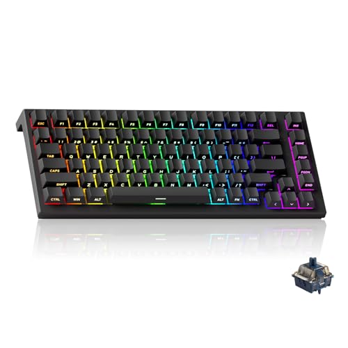 Akko TAC75 Rapid Trigger HE Gaming-Tastatur, 75% US-Layout, kabelgebunden, Hall-Effekt-Tastatur mit Magnetschalter, Einstellbarer Ansprechzeit, Snap-T