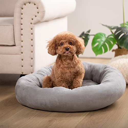 KASENTEX Round Dog Bed - Medium Dogs, Anti Slip & Machine Washable - Grey 23x23 Inches Medium Grey