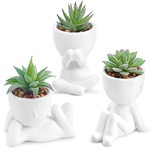 Der Rose 3pcs Fake Succulents Plants Artificial for Bathroom Bedroom Home Room Decor Aesthetic Indoor White