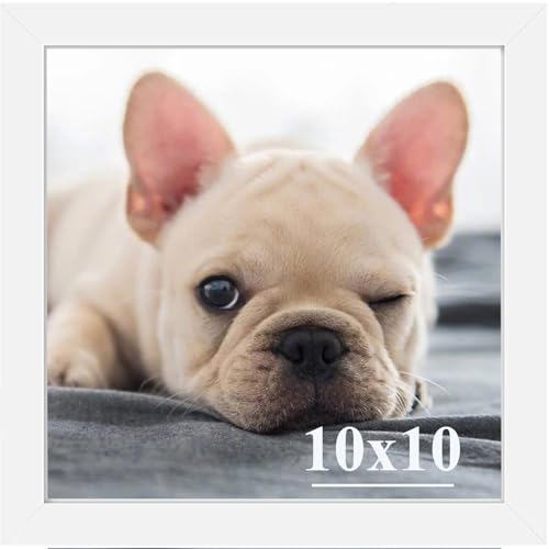 RUN HELIX 10x10 Picture Frames,Simple Designed Photo Frame,Certificate Document Frame for Horizontal and Vertical Formats,10x10 Poster Photo Frame Wal