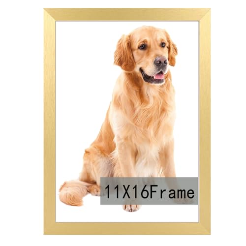 RUN HELIX 11x16 inch Picture Frame, Horizontal and Vertical Formats for Wall Hanging, 11 x 16 Wall Gallery Poster Photo Frame with Durable Shatter Res