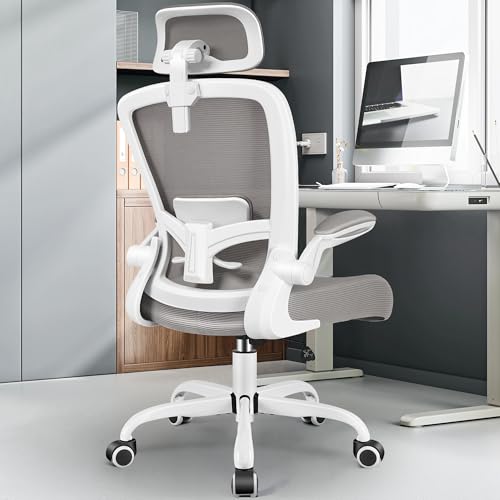 FelixKing Office Chair, Desk Chair with Adjustable Lumbar Support, Ergonomic Computer Chair with High Back and Armrest, Adjustable Height Gaming Chair