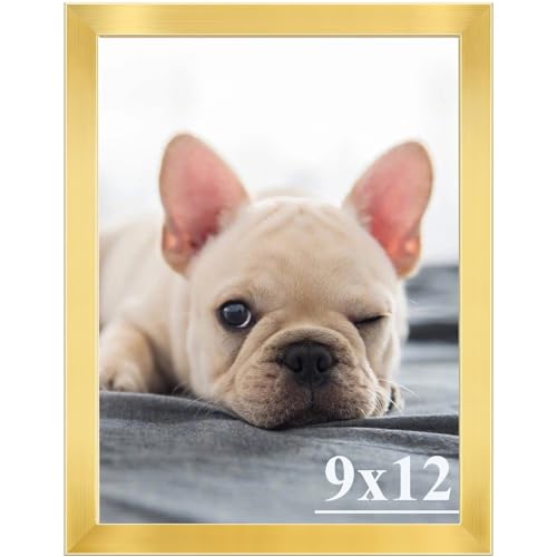 RUN HELIX 9x12 Picture Frames,Simple Designed Photo Frame,Certificate Document Frame for Horizontal and Vertical Formats,9x12 Poster Photo Frame Wall