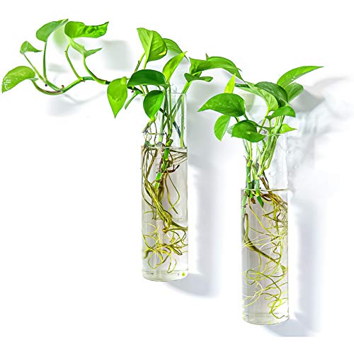 2 Pack Wall Hanging Planters Glass Terrariums - Cylindrical Plants Holders Air Plants Succulents Planters Flowers Glass Wall Vase Containers for Decor