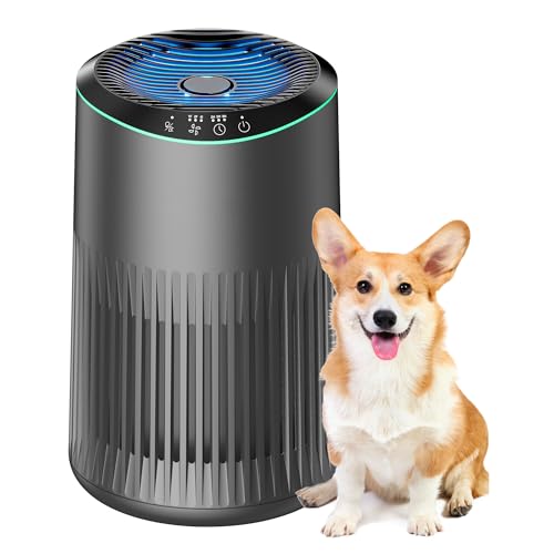 Air Purifiers for Bedroom Home, Air Purifier for Smoke Odors with Fragrance Sponge, Small Air Purifier with Sleep Mode for Bedroom Office, Blue Night